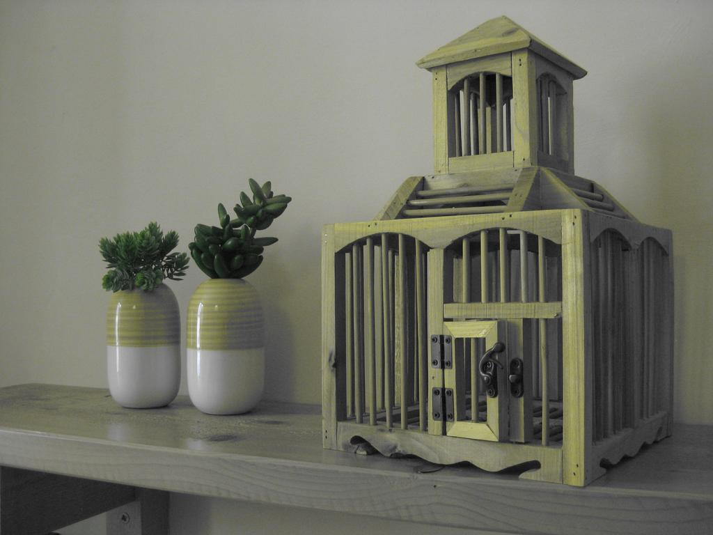La Magnolia Bed & Breakfast Orvieto Ngoại thất bức ảnh
